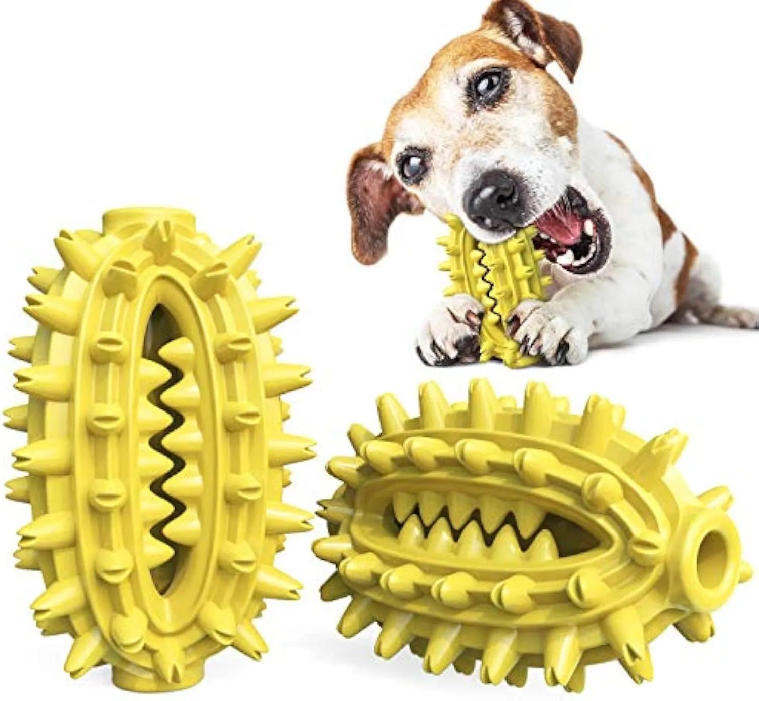 Green cactus-shaped dog chew toy for dental cleaning, made from food-grade rubber.