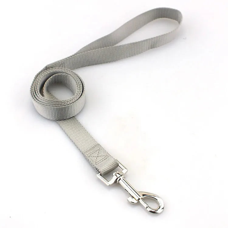 Solid colour nylon dog walking leash in blue held in a hand, showing the single rope design and hand loop.