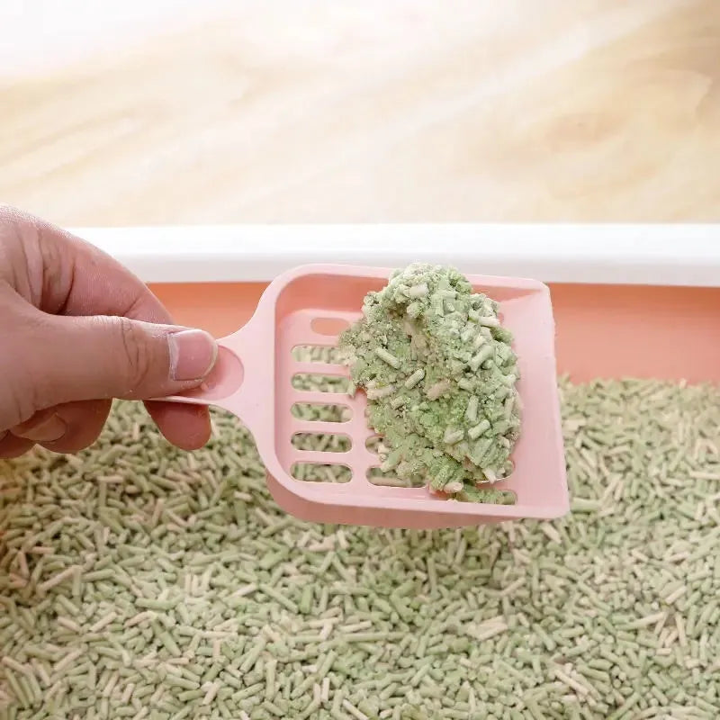 Plastic cat litter scoop in blue, green or pink, showing 20cm length.