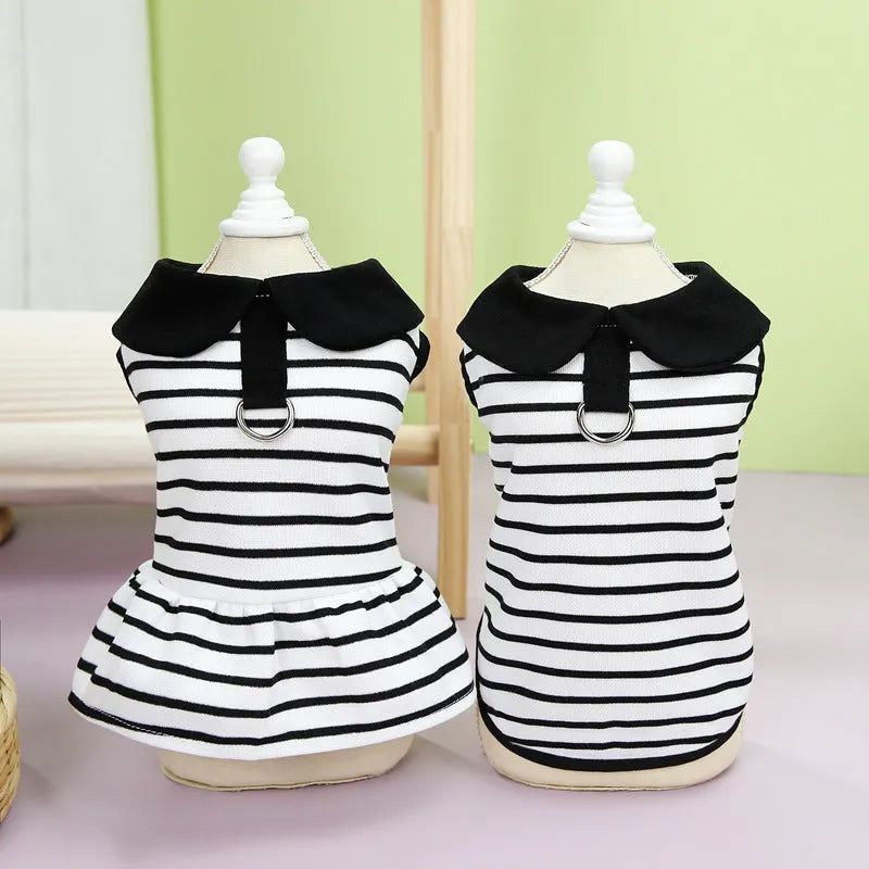Cotton pet t-shirt and skirt set with striped summer design for small animals