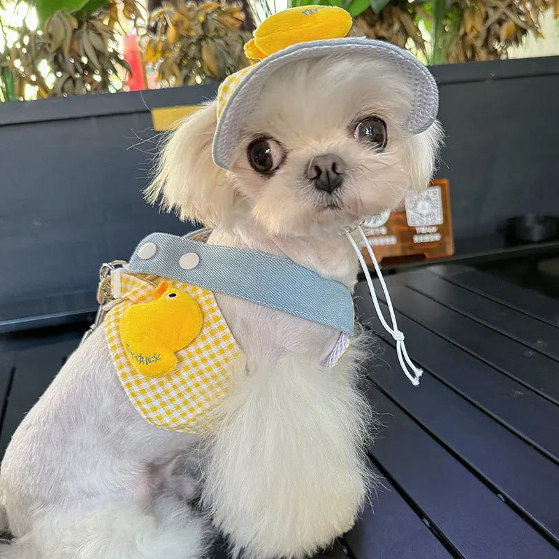 Colourful adjustable dog harness and wire rope leash set with a cute hat for spring summer pet outings.