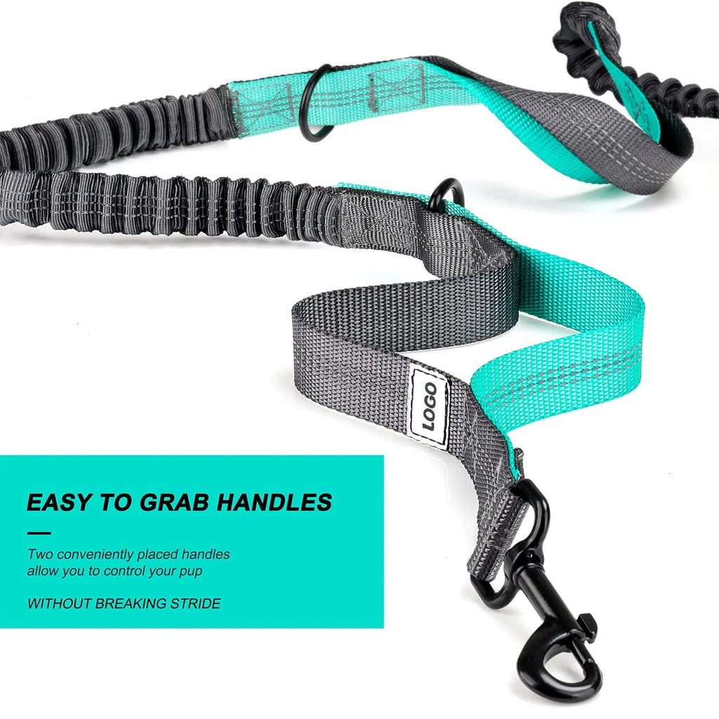 Black nylon outdoor pet training waist bag set with dog leash and collar for hands-free walking