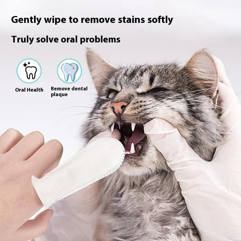 Pack of 50 non-woven pet dental cleaning finger stalls for cat and dog oral hygiene