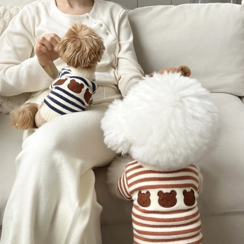 Korean style pet knitted sweater in navy blue stripes, warm wool fabric for dogs, autumn winter wear