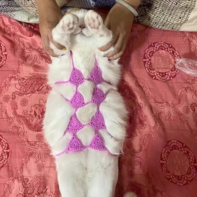 Cat wearing bikini costume in various colours for Halloween or party events