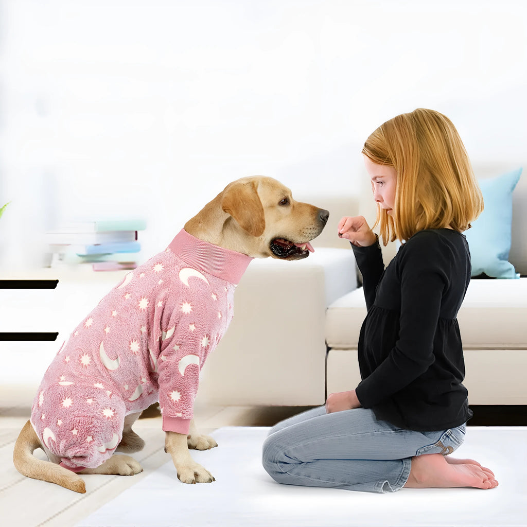 Winter dog pajamas in flannel, bone grey colour, size M, on a small dog standing indoors