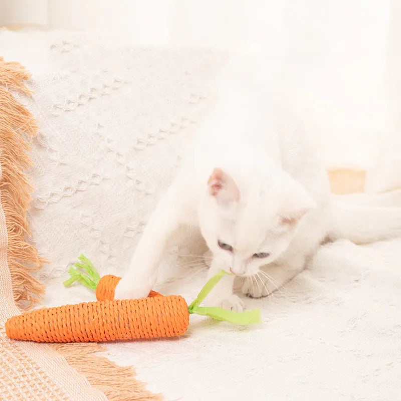 Set of interactive cat toys including paper carrot bites, sticks, and toys with ringing stones.