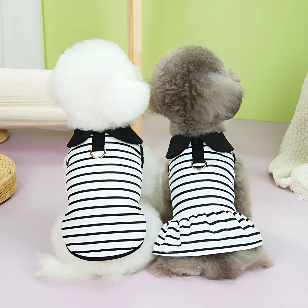 Cotton pet t-shirt and skirt set with striped summer design for small animals