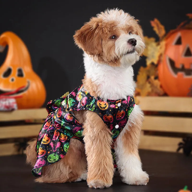 Dog wearing angel wings Halloween costume in bright pumpkin orange colour