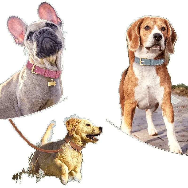 Double-layer mohair dog collar and matching lead set in rose red, shown with size options for small to extra-large dogs.