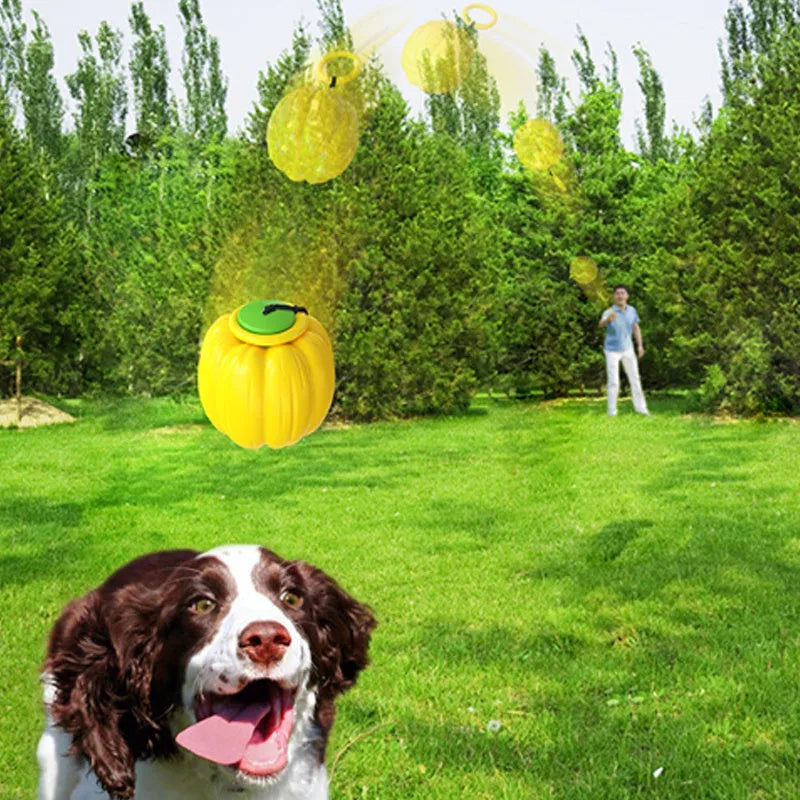 Green, orange and yellow plastic pumpkin squeaky dog ball toy for small dogs