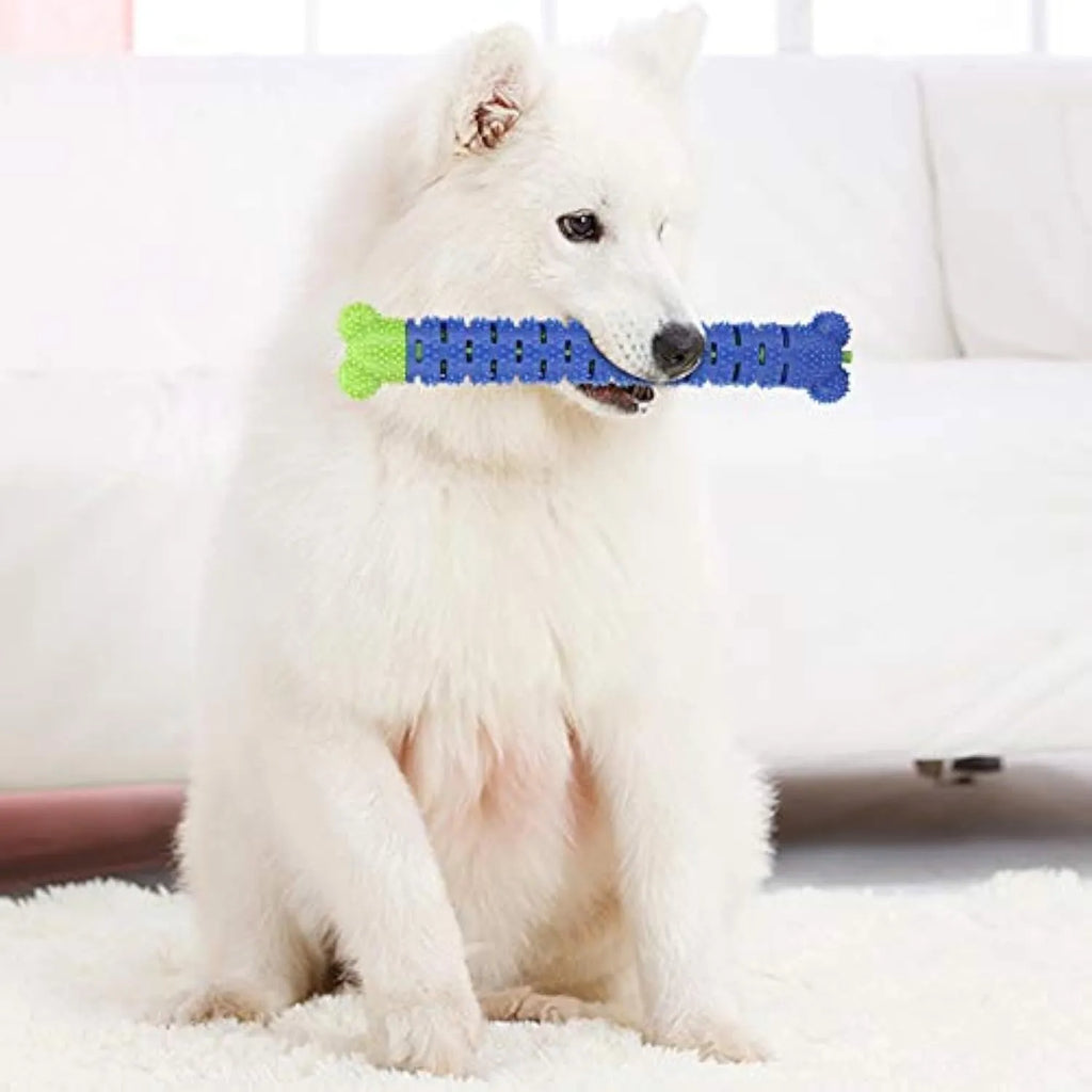 Blue green 25cm dog dental cleaning toy with silicone brush head and textured chewing surface