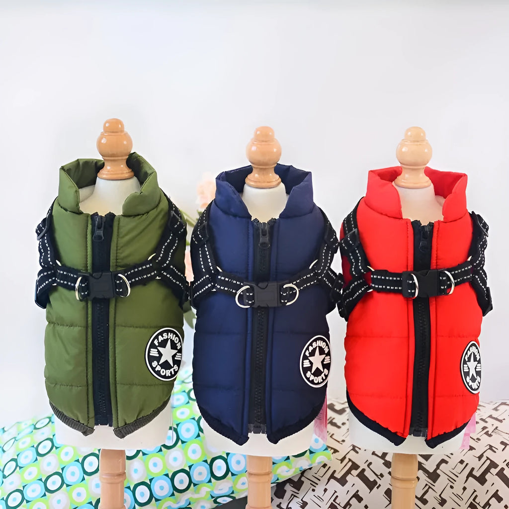 Red waterproof dog coat with an integrated harness on a dog, for winter weather.