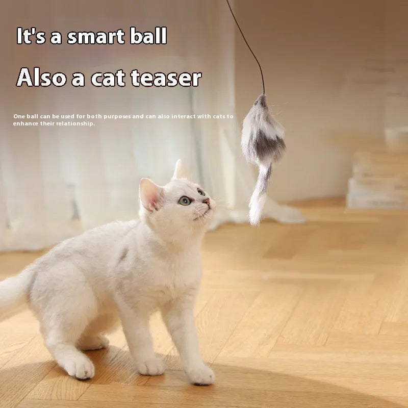 Automatic cat teasing ball with plush mouse attachment in blue orange and dark grey colour options