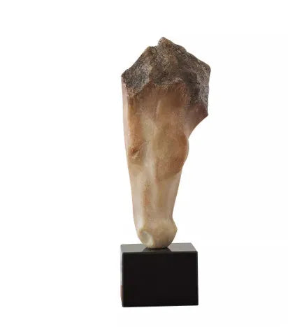 Carved abstract horse head sculpture in retro French style on a desktop.