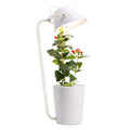 White plastic desktop hydroponic growth machine for soilless plant cultivation.