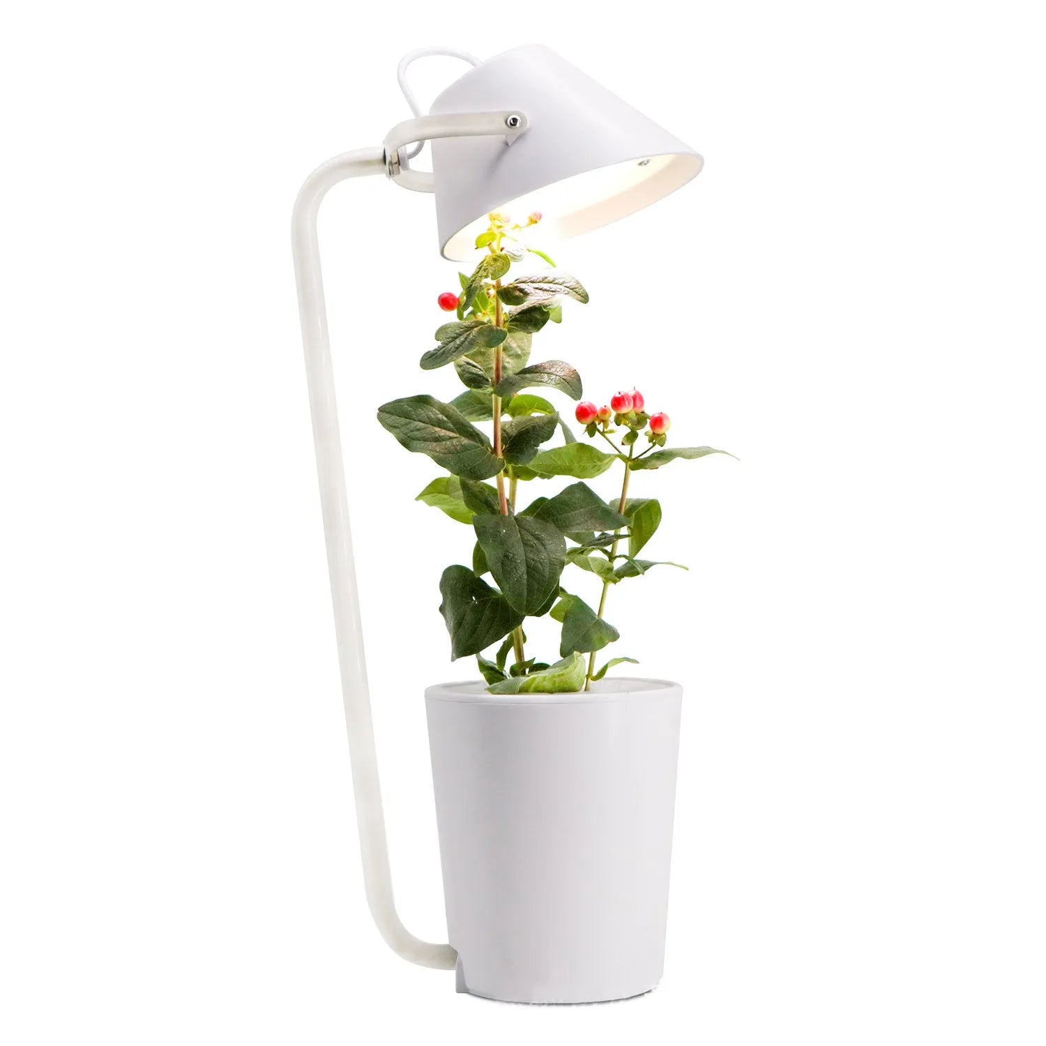White plastic desktop hydroponic growth machine for soilless plant cultivation.