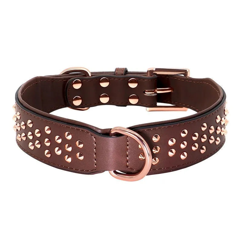 Brown leather dog collar with metal rivet studs, shown on a black background.