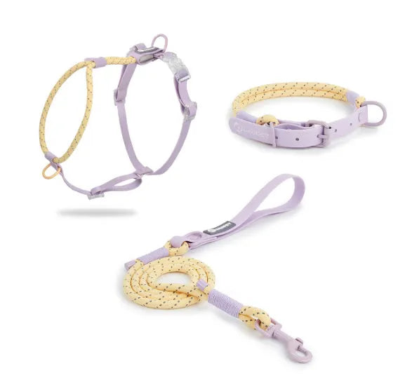 Solid colour PVC dog leash hand holding rope in dark red purple yellow and taoyao green options
