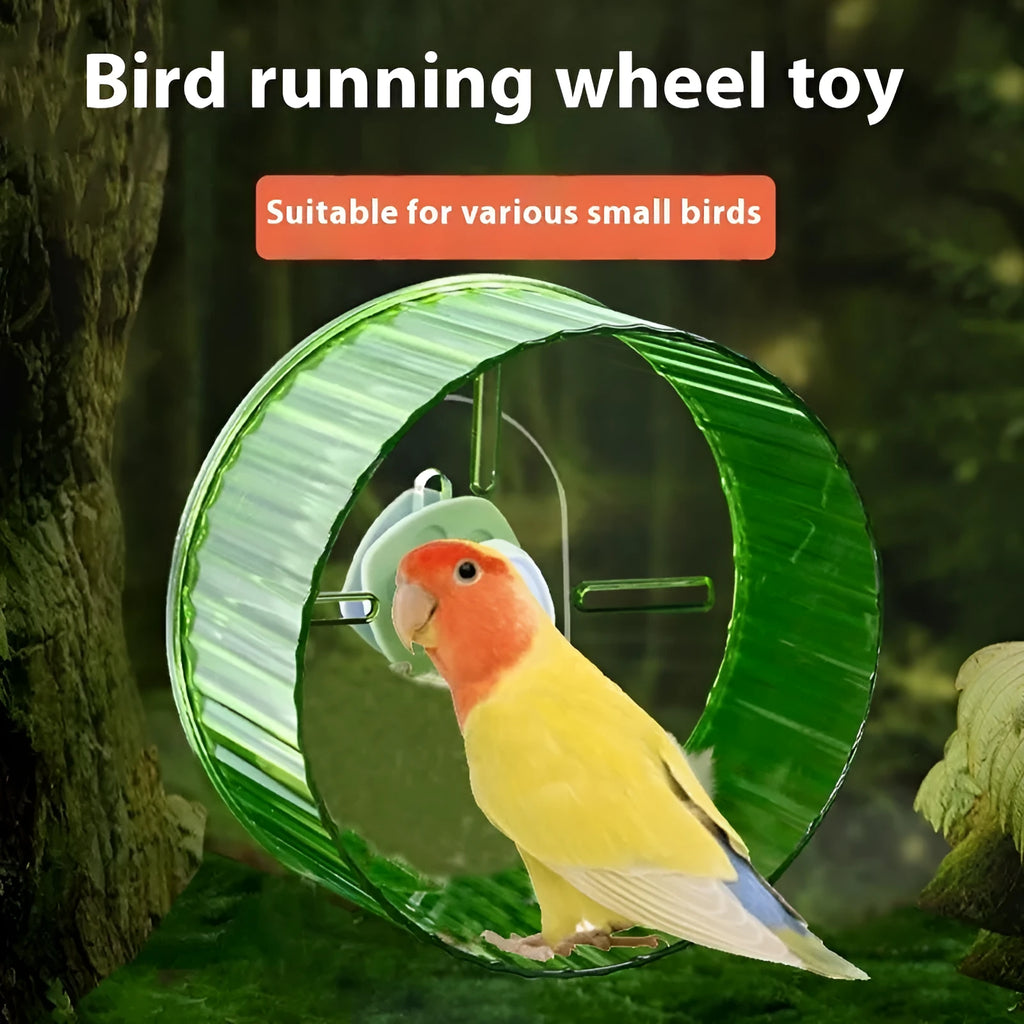 21cm plastic parrot exercise wheel running toy in transparent colour option