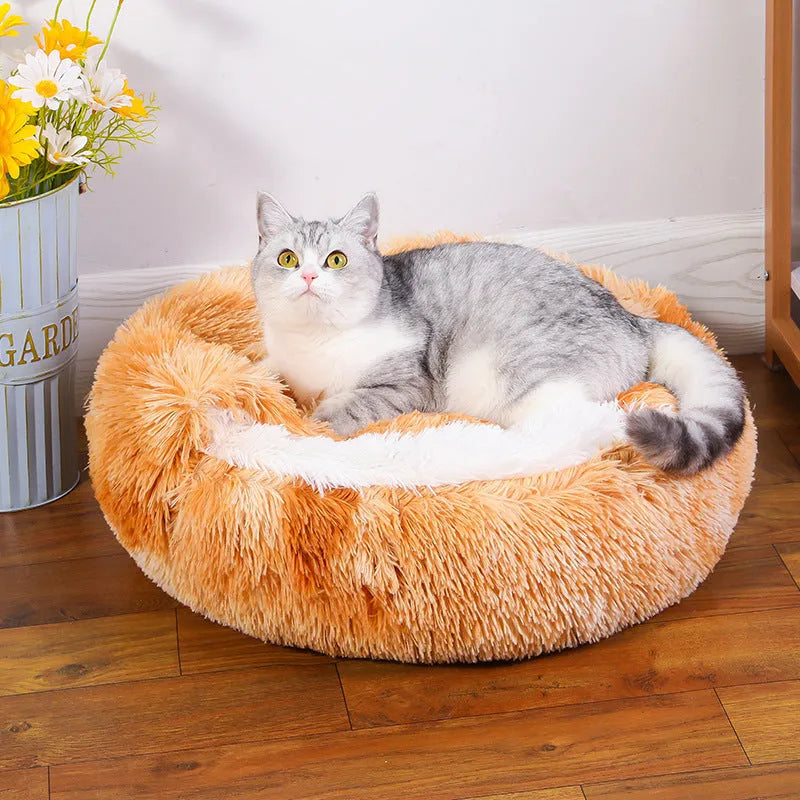 Waterproof cloth dog kennel in a semi-surrounded shelter design, shown in a gradient colour.