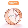 21cm plastic parrot exercise wheel running toy in transparent colour option
