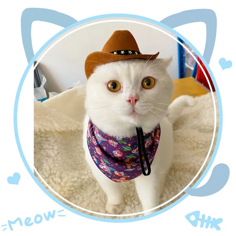 British style cowboy hat for cats in brown with decorative trim