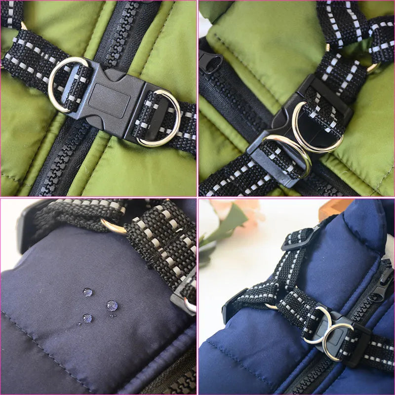 Red waterproof dog coat with an integrated harness on a dog, for winter weather.