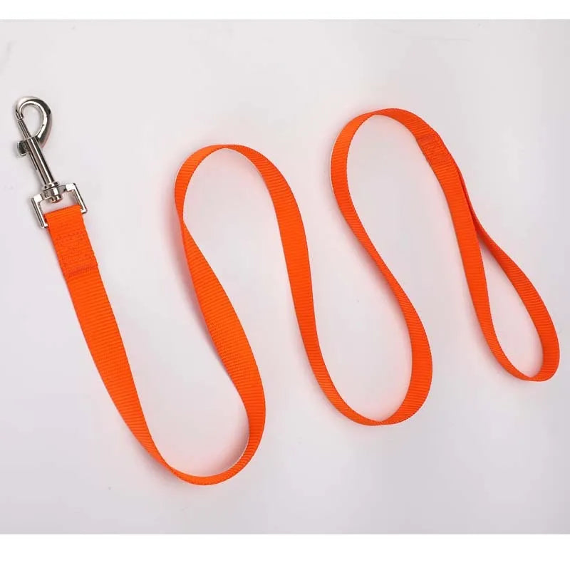 Solid colour nylon dog walking leash in blue held in a hand, showing the single rope design and hand loop.