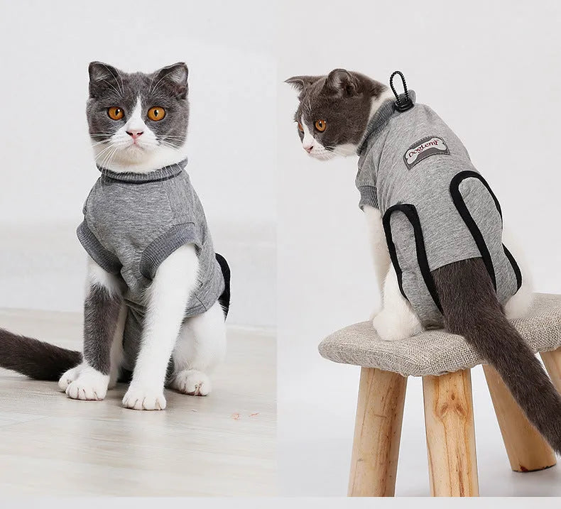 Pet cat recovery suit after surgery made of pure cotton in a neutral colour for wound protection