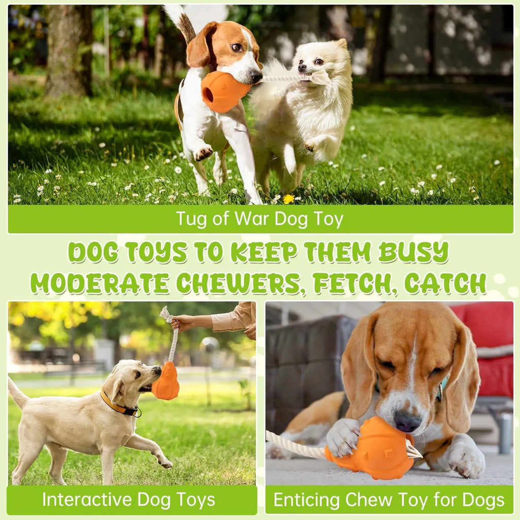 Natural rubber stuffable dog toy with a long strap for interactive play.