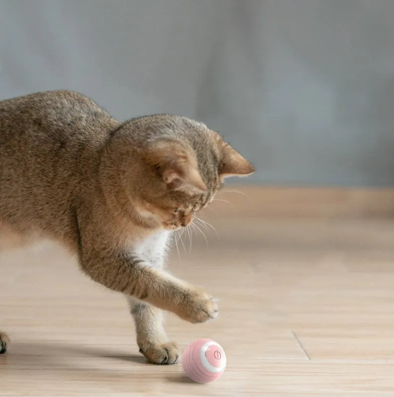 Blue rechargeable automatic moving cat toy with flashing lights on flat surface