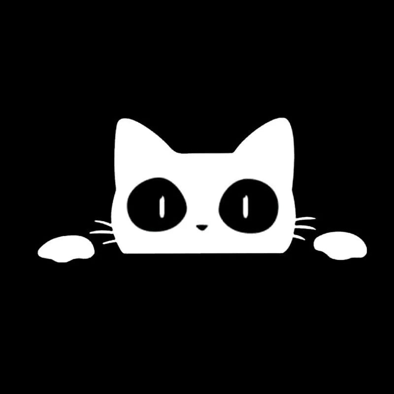 Foreign trade car sticker voyeur cat design in PET material, 13 x 5.7 cm, black colour option