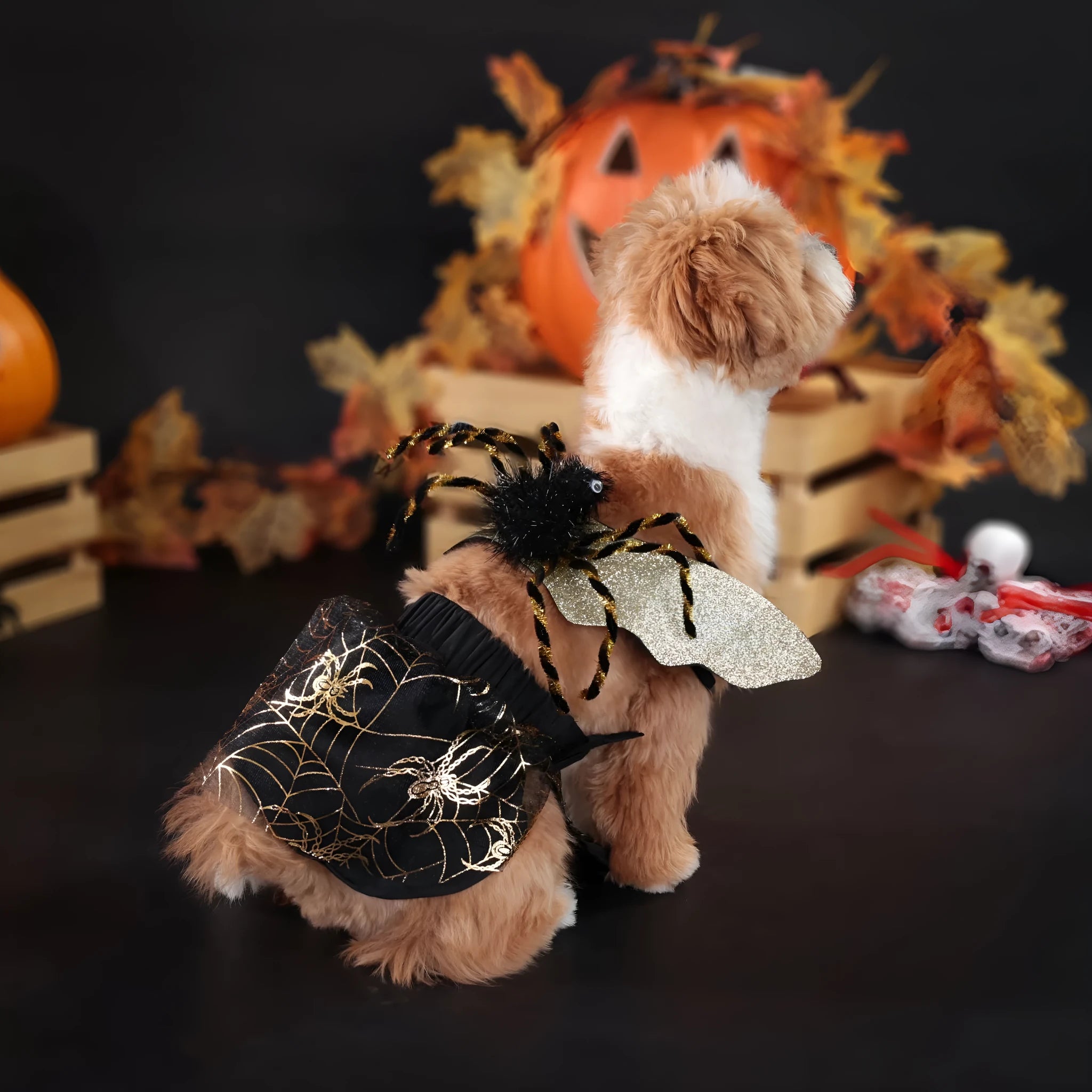 Polyester dog costume suit for Halloween and parties in suit colour, available sizes S M L XL