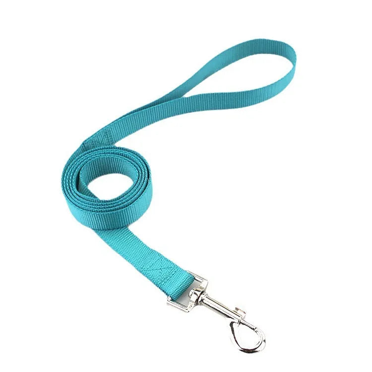 Solid colour nylon dog walking leash in blue held in a hand, showing the single rope design and hand loop.