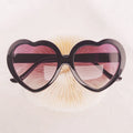 SUNFLOWER childrens plastic love-style sunglasses in multiple frame colours for kids birthday gift