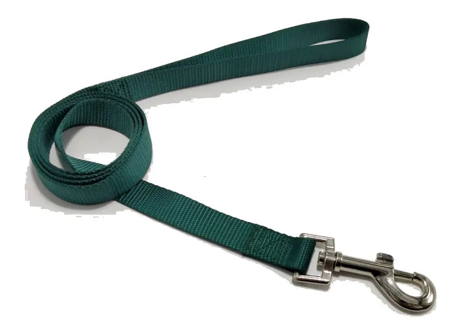 Solid colour nylon dog walking leash in blue held in a hand, showing the single rope design and hand loop.