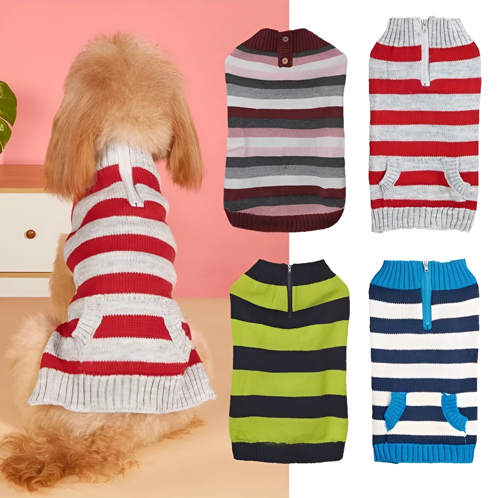 Small dog wearing grey sweater with horizontal zip and button pockets