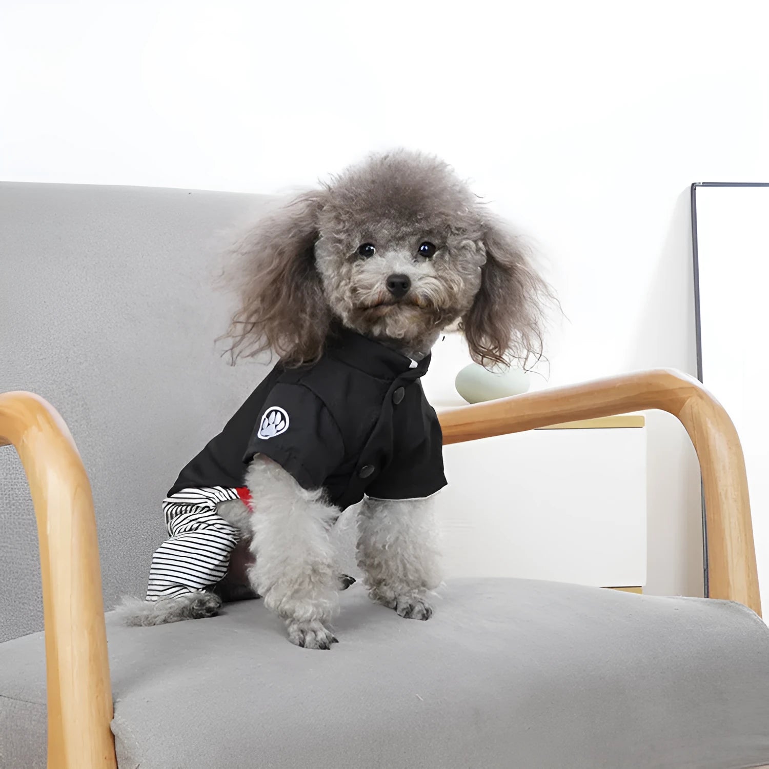 Cotton poodle dog clothes in skirt or four-legged pants styles for spring and autumn wear