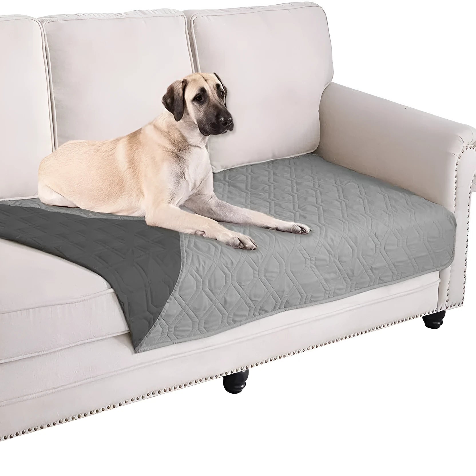 Reversible dog blanket couch cover in grey, laid flat on a sofa