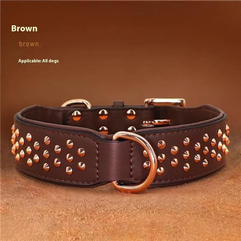 Brown leather dog collar with metal rivet studs, shown on a black background.