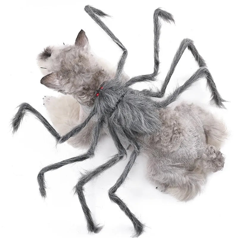 Halloween spider pet costume for dogs and cats in multiple sizes and colours
