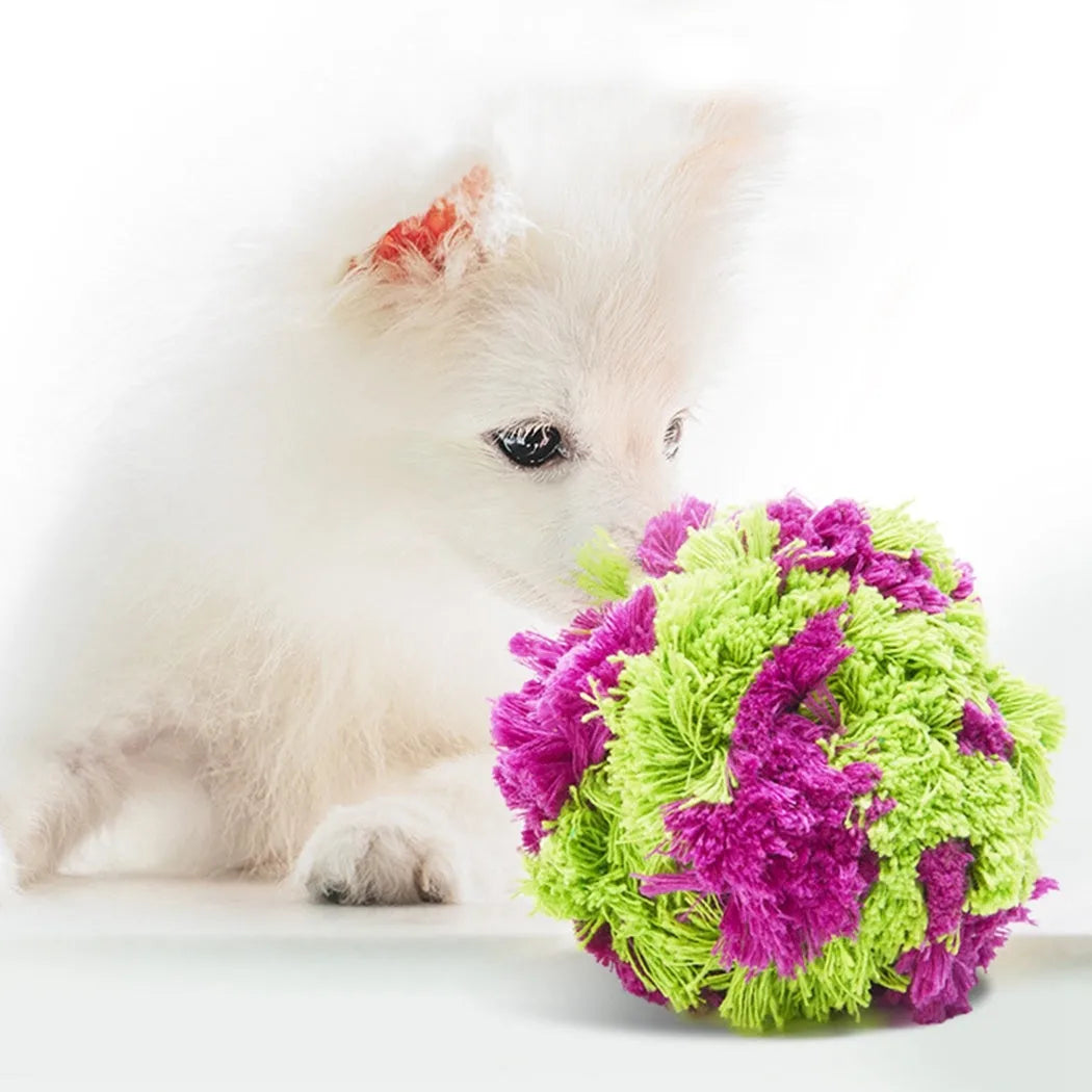 Purple plush dog ball toy with knotted seaweed texture for teething puppies