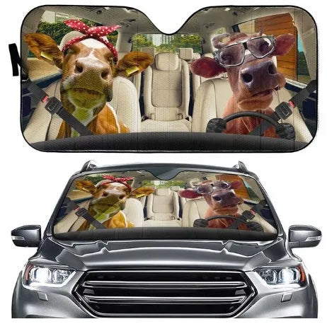 Aluminium foil telescopic car sun visor shown extended on a car windscreen.