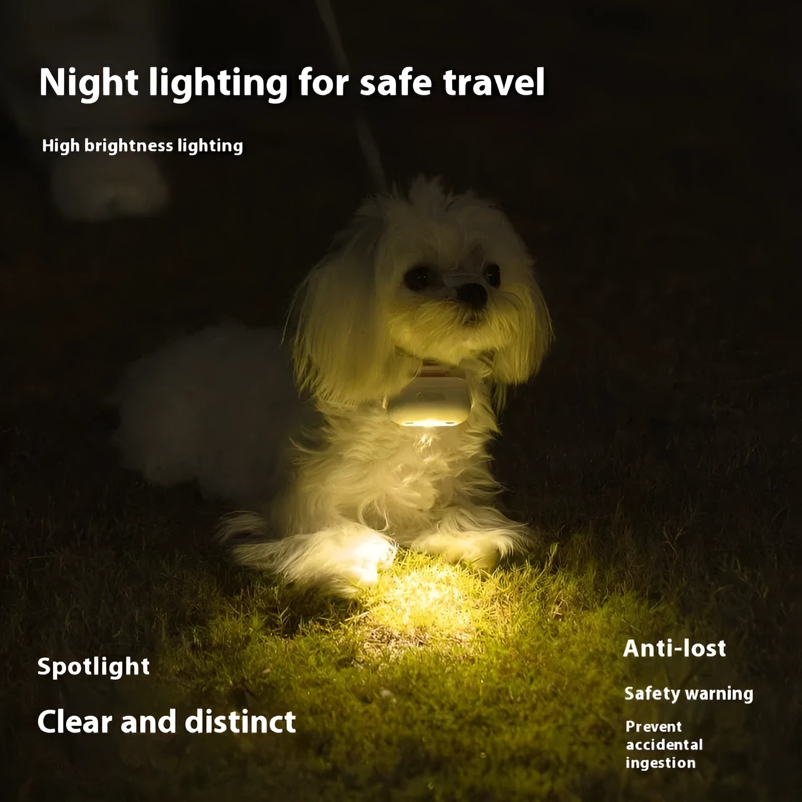 LED light up dog collar with puppy hanging lamp ring in caramel mocha colour