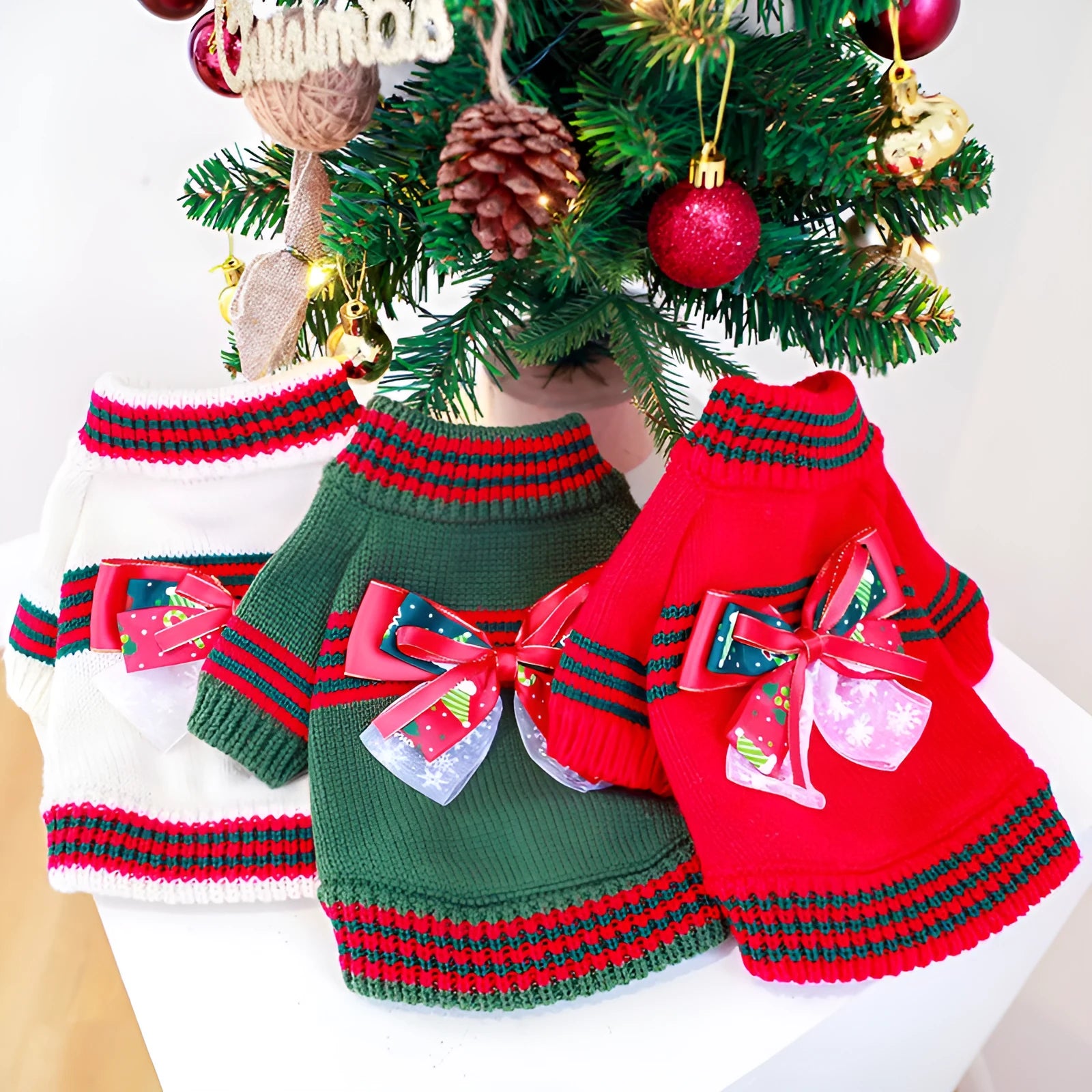 Red Christmas dog jumper on small pet with festive design and proper fitting