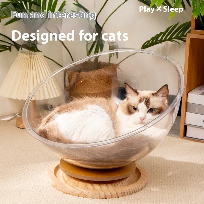 Transparent acrylic cat space capsule bathtub showing capsule design