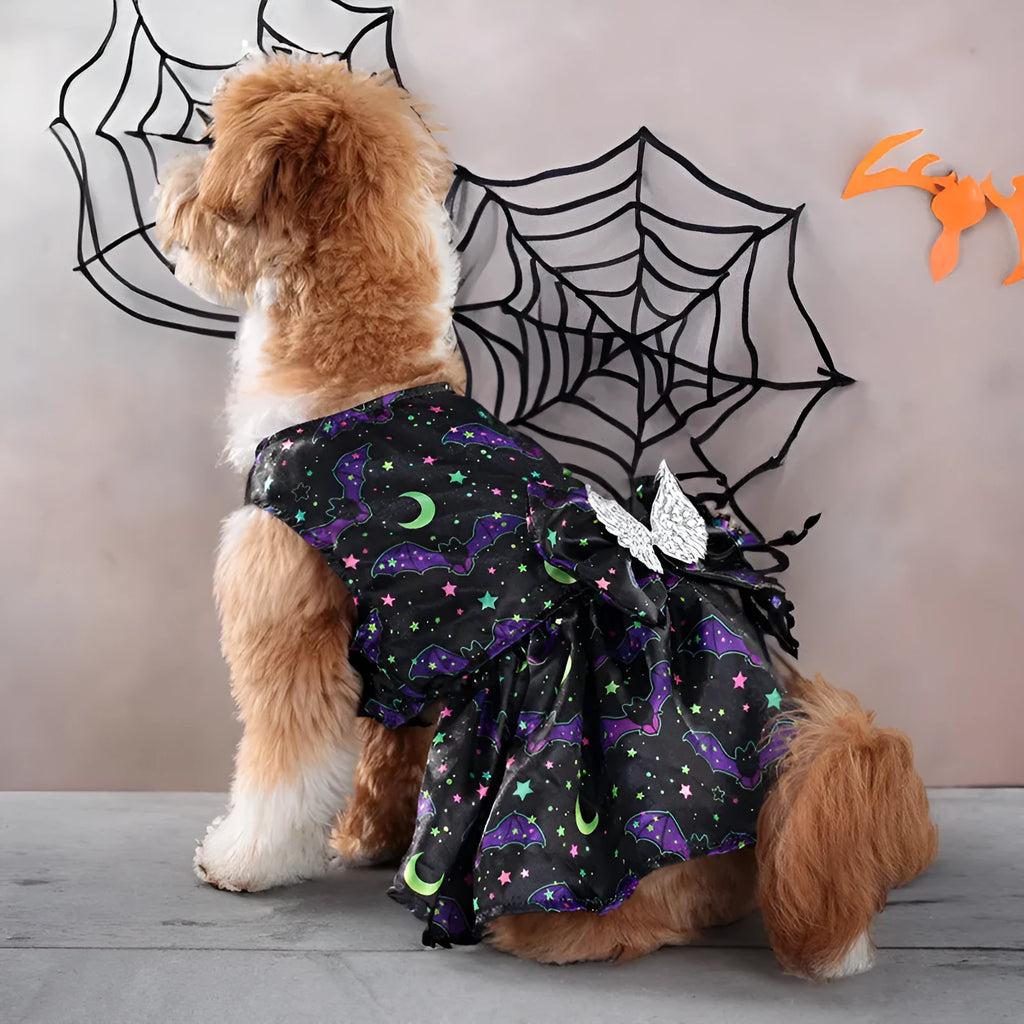 Dog wearing angel wings Halloween costume in bright pumpkin orange colour