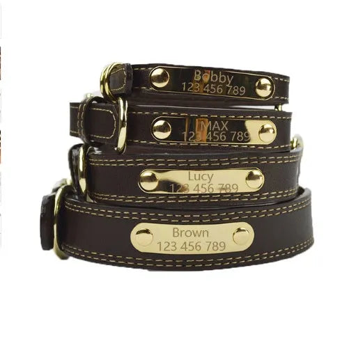 Pet lettering dog collar in microfiber leather, medium size, black colour, with adjustable buckle