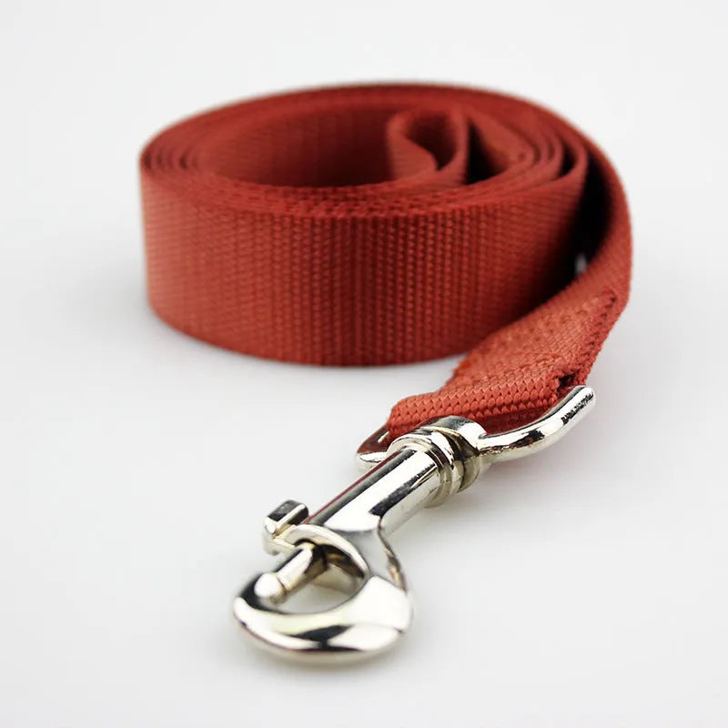 Solid colour nylon dog walking leash in blue held in a hand, showing the single rope design and hand loop.